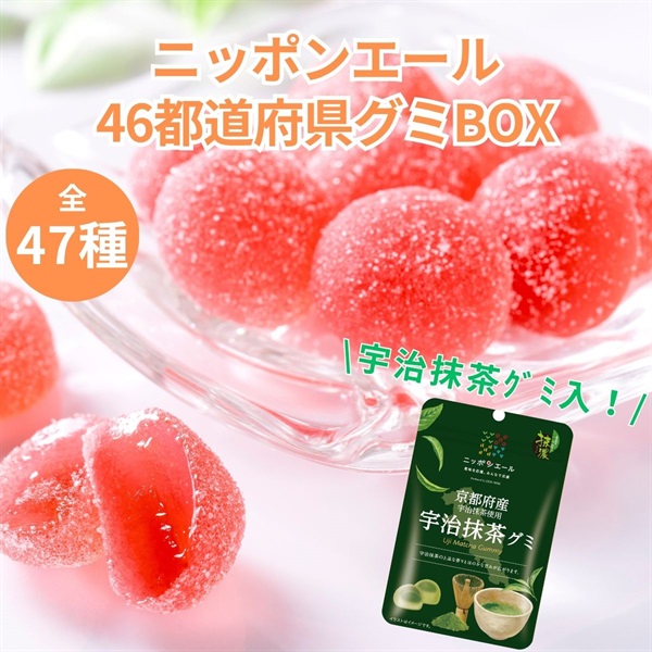 ニッポンエール46都道府県グミBOX