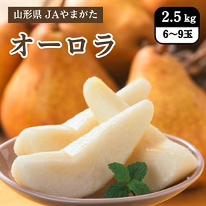 オーロラ　8月下旬発送開始