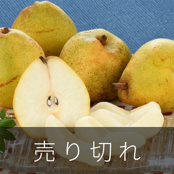 ドワイエネ・デュ・コミス（洋梨）1.5kg（5～7玉）　10月下旬発送開始