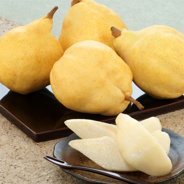 ル レクチエ　12月上旬発送開始