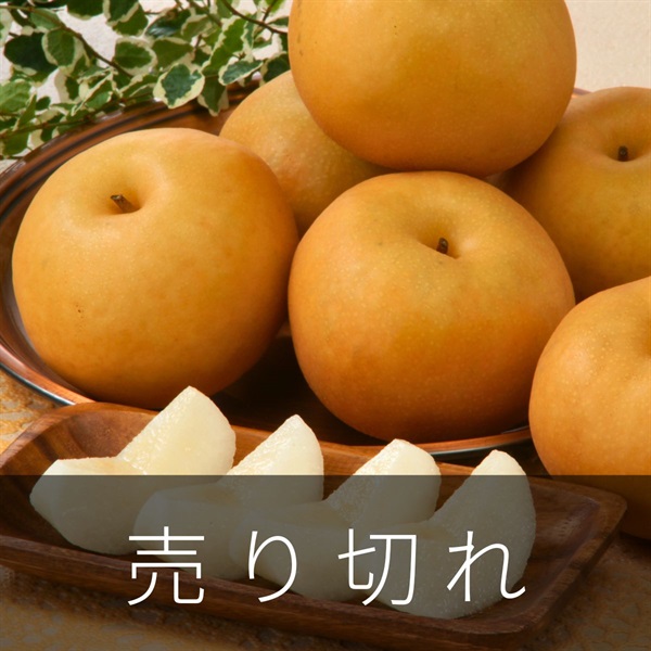 南水　10月上旬発送開始