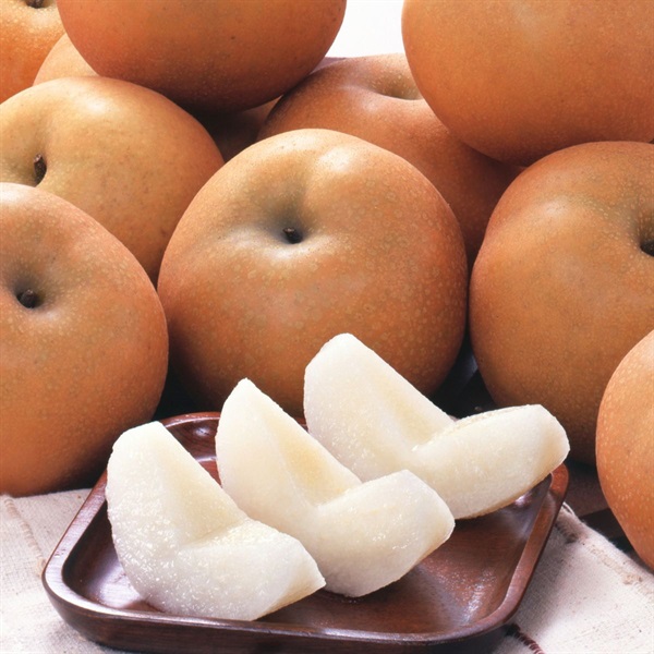 豊水梨1.8kg　8月中旬発送開始