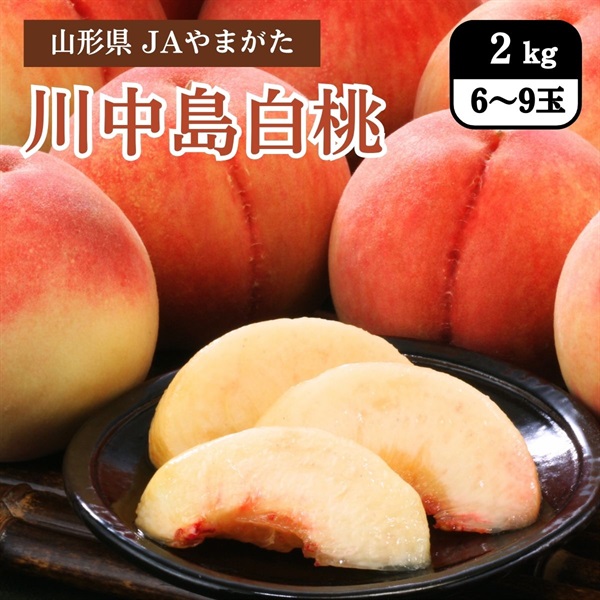 川中島白桃（JAやまがた）　8月中旬発送開始
