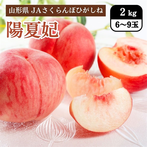陽夏妃　8月中旬発送開始