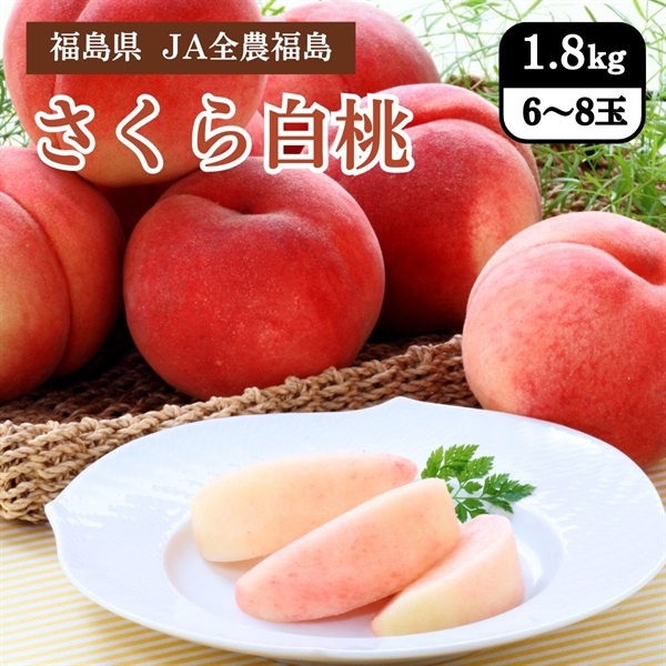 さくら白桃　9月中旬発送開始