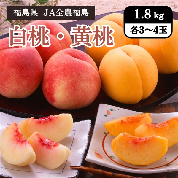 白桃・黄桃　8月中旬発送開始
