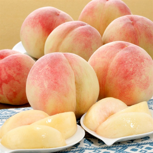 ぴ～一番 1.8kg　7月中旬発送開始