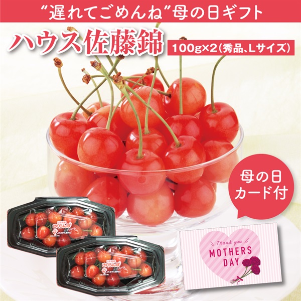 【遅れてごめんね母の日】ハウス佐藤錦　100g×2