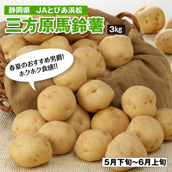 三方原馬鈴薯(JAとぴあ浜松、他)