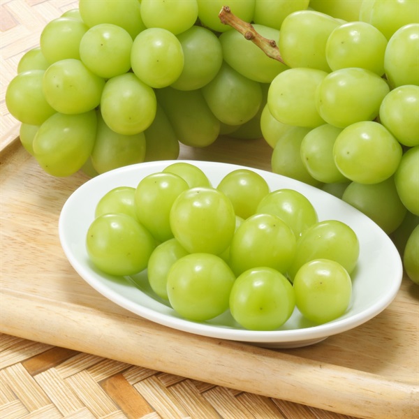 ハウスシャインマスカット2房（JA南アルプス市） | 全農食品オンライン