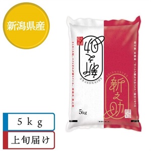 新之助5kg　7月上旬届