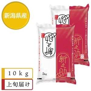 新之助10kg　1月上旬届