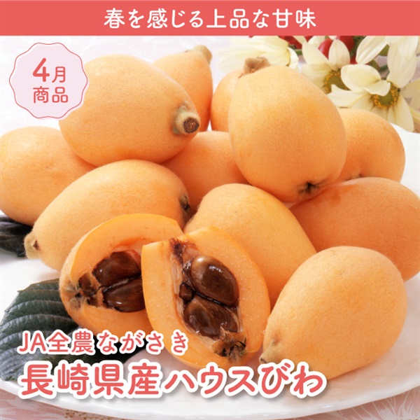 長崎県産ハウスびわ