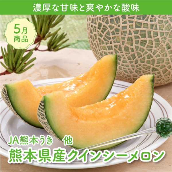 熊本県産クインシーメロン