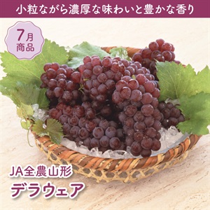 デラウェア(JA全農山形)