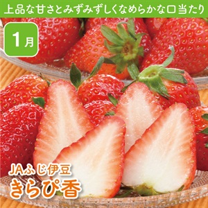 静岡県産きらぴ香