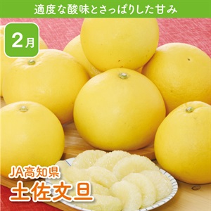 高知県産土佐文旦