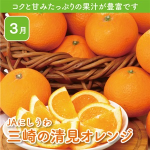 愛媛県産三崎の清見オレンジ