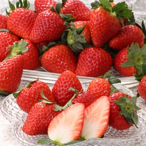 奈乃華（なのか）　3月中旬発送開始