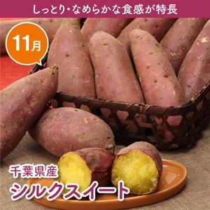 千葉県産シルクスイート