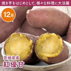 茨城県産紅優甘