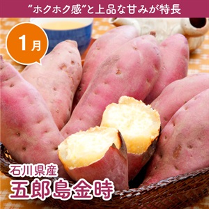 石川県産五郎島金時