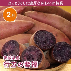 茨城県産行方の紫福