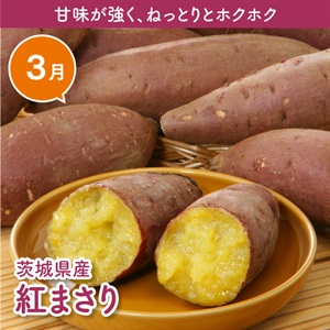 茨城県産紅まさり