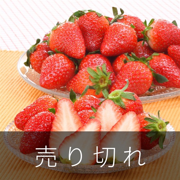 きらぴ香　1月中旬発送開始