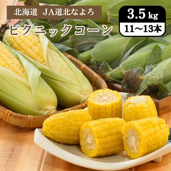 ピクニックコーン　8月中旬発送開始