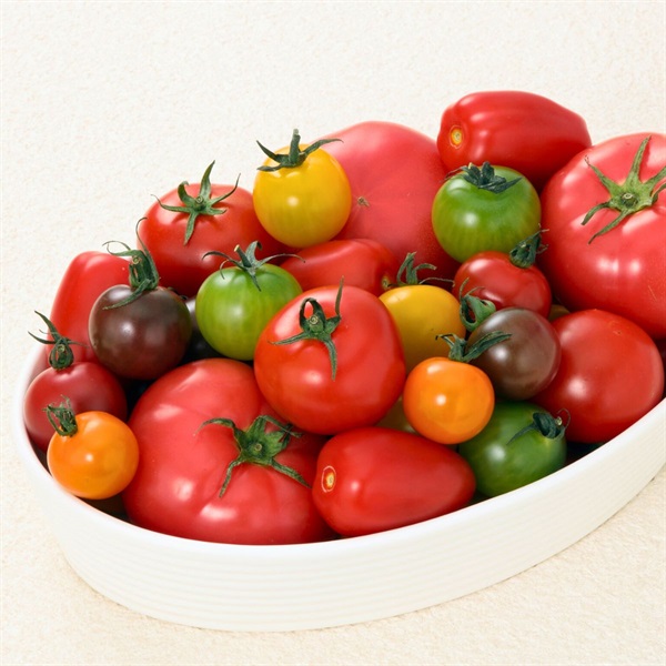 サンシャイントマト　3月中旬発送開始