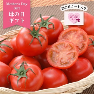 【母の日】スーパーフルーツトマト