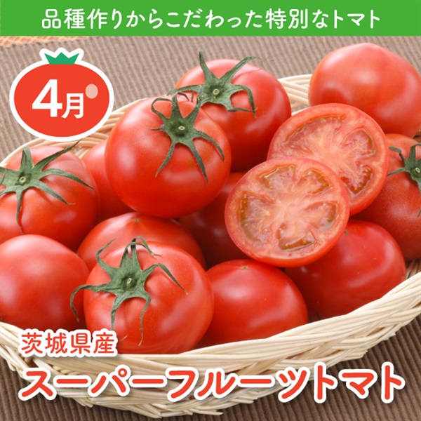 茨城県産スーパーフルーツトマト