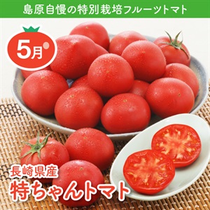 長崎県産特ちゃんトマト