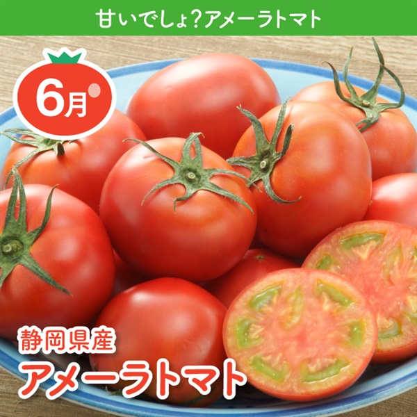 静岡県産アメーラトマト