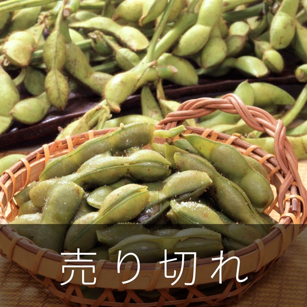 丹波黒枝豆　10月中旬発送開始