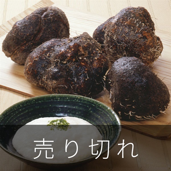 丹波篠山 山の芋　1月中旬発送開始