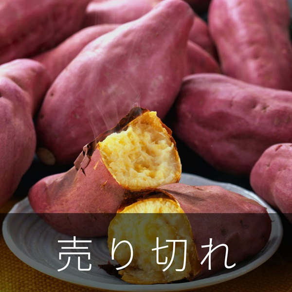 なると金時　10月中旬発送開始