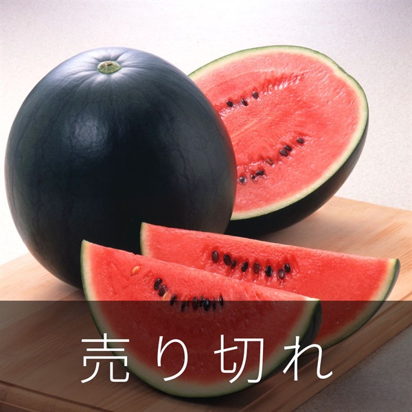 黒こだますいか（誘惑のひとみ）　7月中旬発送開始
