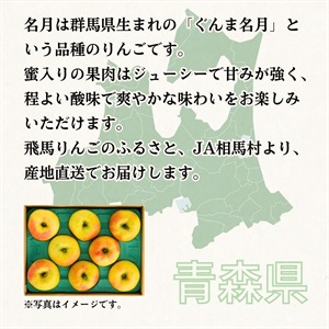 ✨アコ✨青森県産ぐんま名月　もぎたて直送 26年11月から順次発送!】青森県産 りんご ぐんま名月 約5kg おもてなし