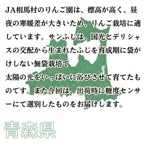 糖度選別サンふじ 2.7kg 1月中旬発送開始 | 全農食品オンラインショップ