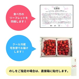 佐藤錦（バラ詰め）700g 6月中旬発送開始 | 全農食品オンラインショップ