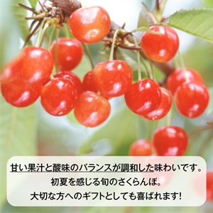 佐藤錦（置き並べ）700g 6月上旬発送開始 | 全農食品オンラインショップ