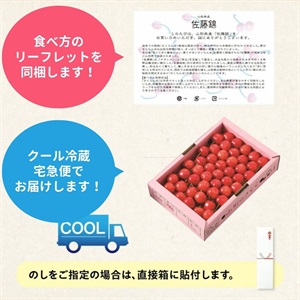 佐藤錦（置き並べ）700g 6月上旬発送開始 | 全農食品オンラインショップ