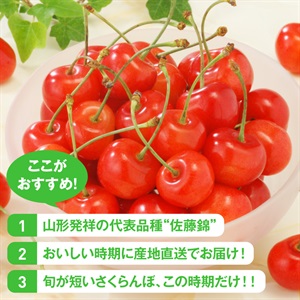 佐藤錦（バラ詰め）1kg 6月中旬発送開始 | 全農食品オンラインショップ