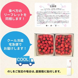 佐藤錦（バラ詰め）1kg 6月中旬発送開始 | 全農食品オンラインショップ