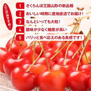 B、プチポワン2種７枚，プチポアンフレーム、茶３枚、赤と紫８枚 87011024-as-bl.jpg?v=