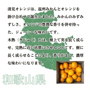 木熟清見オレンジ 3月中旬発送開始 | 全農食品オンラインショップ