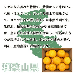 木熟八朔 3月中旬発送開始 | 全農食品オンラインショップ