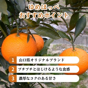 ゆめほっぺ | 全農食品オンラインショップ